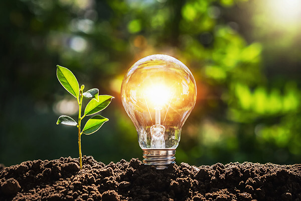 Strategic Initiatives and M&A Case Study Image